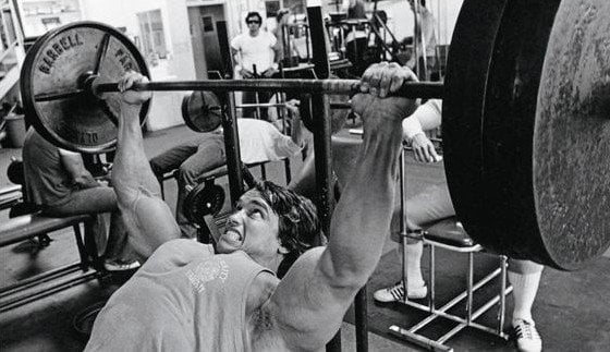Arnold Schwarzenegger Workout Routine Old School Labs