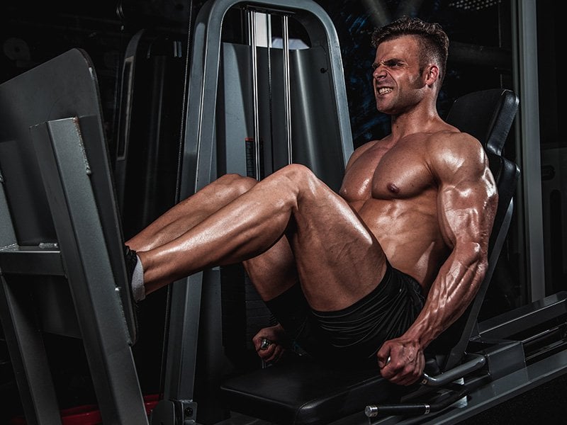 Seated Leg Press Machine Benefits and Muscles Worked