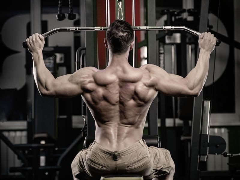 Simple Shoulder Workout Images for Push Pull Legs